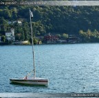 Cosa farò da grande? Cosa farò da grande?