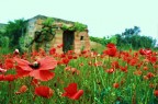Image of Salento Image of Salento