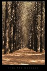 Into The Unknown Into The Unknown