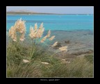 I colori della Sardegna I colori della Sardegna