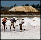 Saline - Lavoratori Saline - Lavoratori