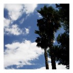 Ce Matin Là Ce Matin Là