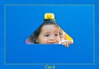 Cuc