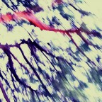 a buzz - pinidistrada a buzz - pinidistrada