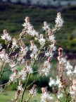 riserva naturale san gregorio