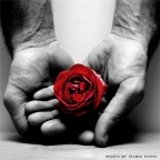 nelle mie mani nelle mie mani