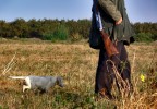 Il cacciatore e il suo compagno