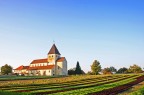 Abbazzia Germania Isola Reichenau Abbazzia Germania Isola Reichenau