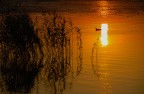 cerchi nel tramonto cerchi nel tramonto