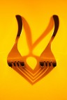 Crazy Forks Crazy Forks