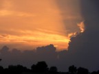 (ripresa in Sicilia presso Modica). Una curiosa correlazione tra la silhouette dei cespugli in primo piano e quella delle nubi sul retro.