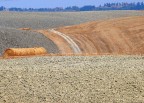 Panorama nel pisano presso Volterra, sulla strada per San Giminiano. FZ50, f 7.1, 1/500, ISO 100, lungh. foc, 420 mm equiv.