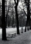 Winter 2