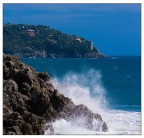 Il rumore del mare... Il rumore del mare...