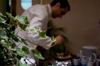 Catering Catering