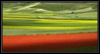 paesaggio paesaggio