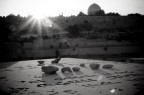 monte degli ulivi e moschea di al aqsa