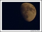 Gente della Luna Gente della Luna