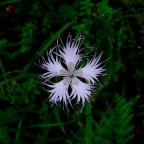 altro sconosciuto altro sconosciuto