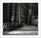 Calabria - Serra San Bruno Calabria - Serra San Bruno