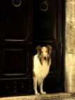 Guardiano 2 Guardiano 2