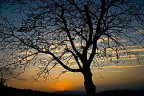 Controluce 4