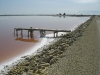 saline saline