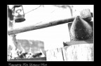 incudine e martello incudine e martello