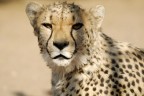 Namibia 15