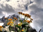 Foto elaborata in HDR