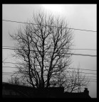 autunno da un treno lontano autunno da un treno lontano