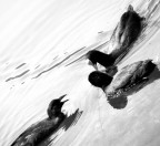 Tutti Contro Tutti Tutti Contro Tutti