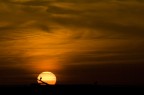 Silouette al tramonto Silouette al tramonto