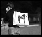 lo stallone tira lo stallone tira