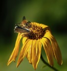 Oggi si và al raduno in Valtidone, vieni? Oggi si và al raduno in Valtidone, vieni?