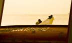 Salvati dall'amore