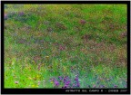 astratto sul campo astratto sul campo