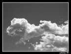 Nuvola...canina! Nuvola...canina!