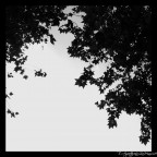 ..Ti Aspetterò.. ..Ti Aspetterò..