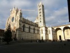 Duono di Siena Duono di Siena