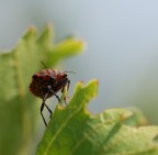 guarda che equilibrio..!! guarda che equilibrio..!!