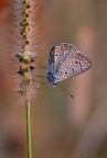 Luce naturale