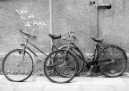 la città delle biciclette la città delle biciclette
