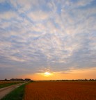 tra i campi tra i campi