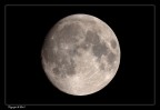 Luna (classico) Luna (classico)