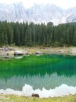 quel che resta del lago di carezza... quel che resta del lago di carezza...