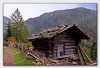 Una giornata uggiosa come Meteo-Trentino prevedeva...fa niente....mi dispiace solo per l'amico Massimo venuto fin quass apposta.
Ivo