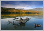 Il Lago di Avigliana, Torino. Il Lago di Avigliana, Torino.