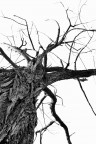 In my veins In my veins