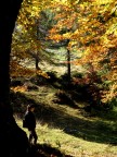 Magia di colori